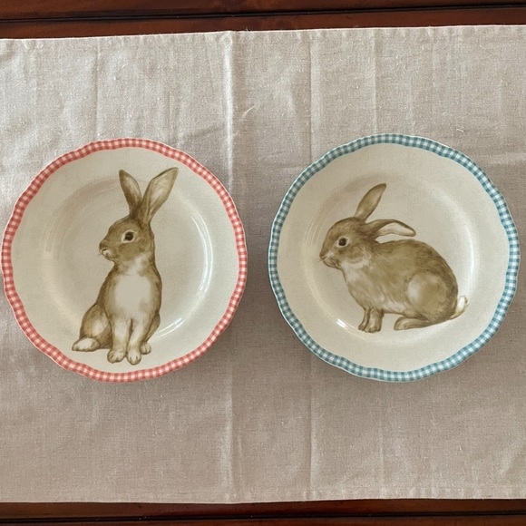 222 Fifth Other - New 222 FIFTH Bunny Land Spring Easter Rabbit Salad Plates Set of 2
